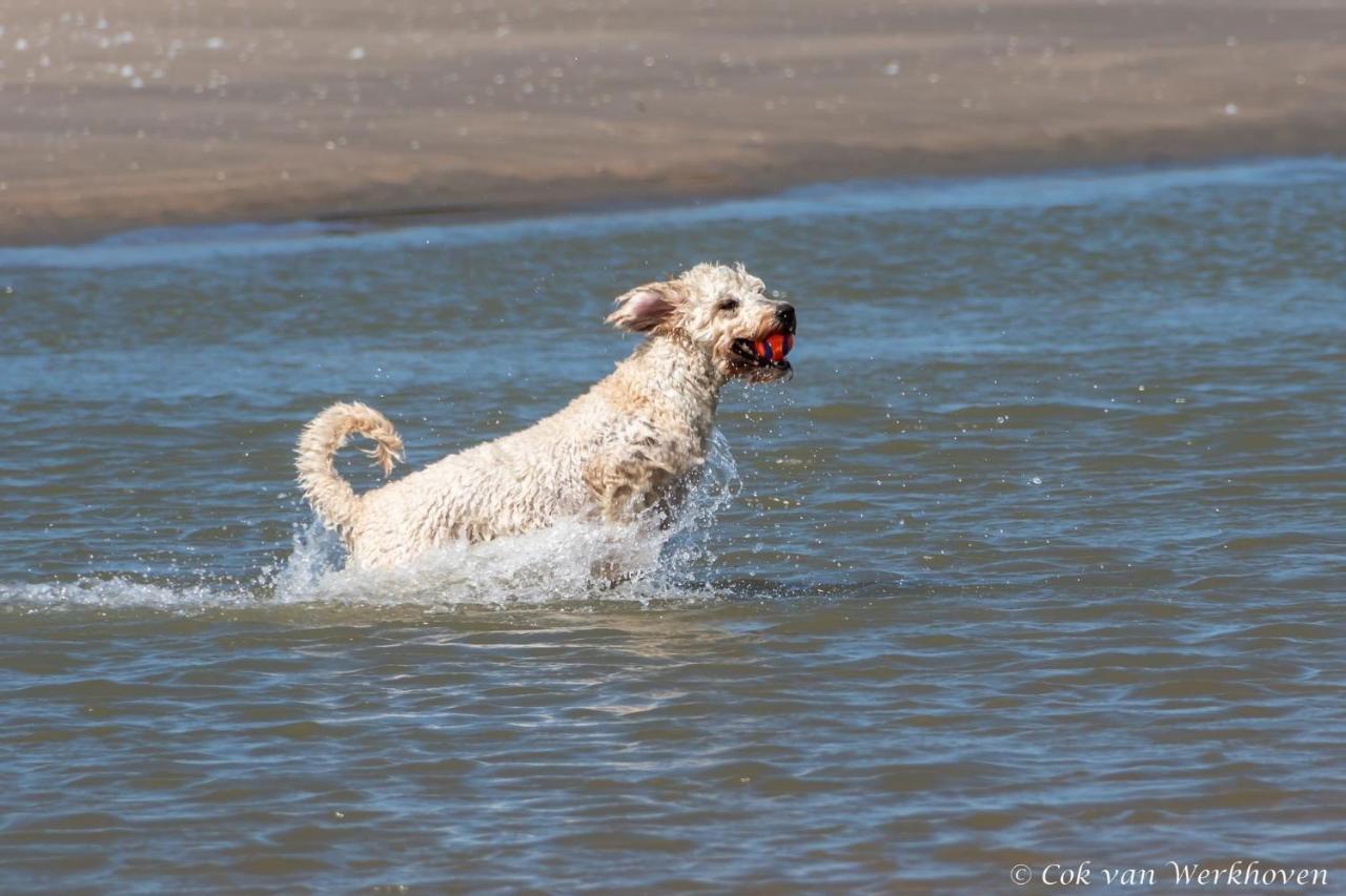 Strandhuis Aan Zee Noordwijk Esterno foto